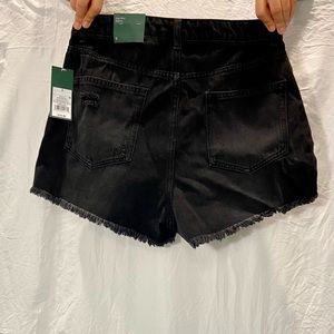 Brand new target shorts